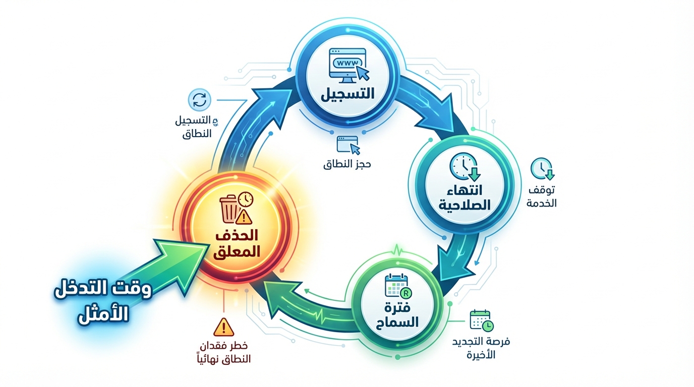 Article Section Image